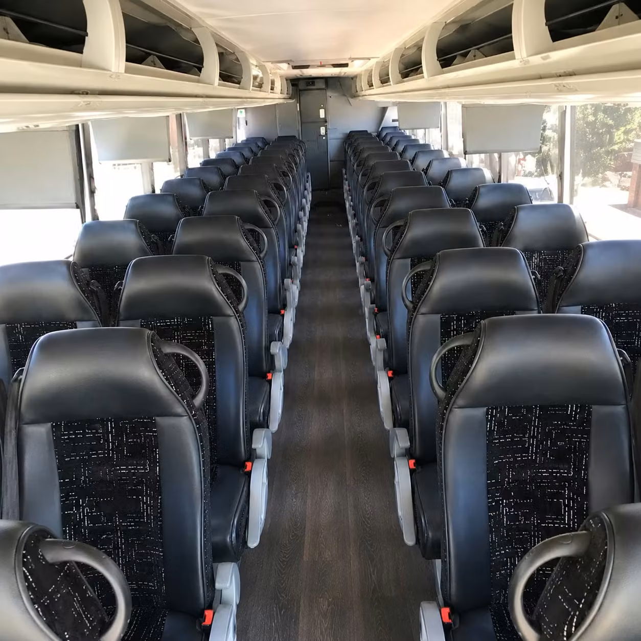 charter buses for sky sox rocky mountain vibes and baseball fan groups